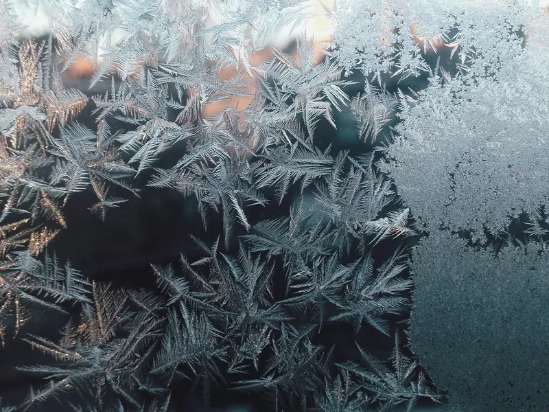 Frost patterns on a window pane