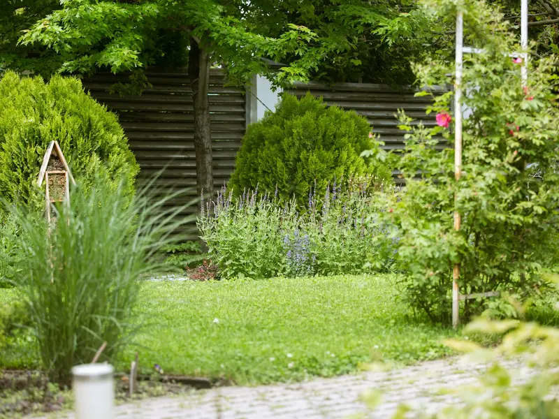 Mixed planting bed with ornamental grasses, shrubs and a curved stone path