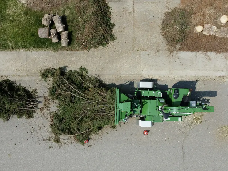 Overhead view of a wood chipper at the curb with evergreen brush being fed into it
