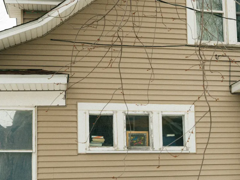 Tan lap siding with white-trimmed windows on a house in winter