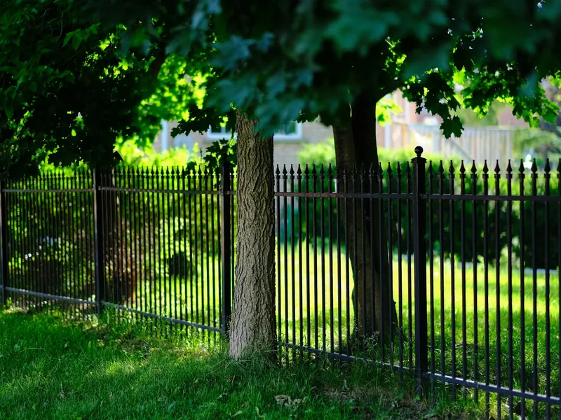 A black ornamental metal fence running between shade trees